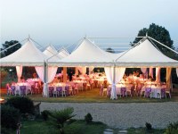 Party Gazebos: Versatility and Elegance for Unforgettable Experiences