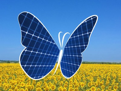 The butterfly effect of photovoltaic panels