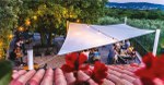 SHADE SAIL FOR GARDENS AND PATIOS
