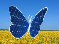 Le battement d’ailes du photovoltaïque pour le changement